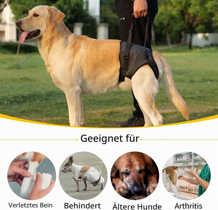 HEYWEAN Tragehilfe mit Handgriff für Hinterbeine - Tragegeschirr für Kleine Mittlere Grosse Hunde -