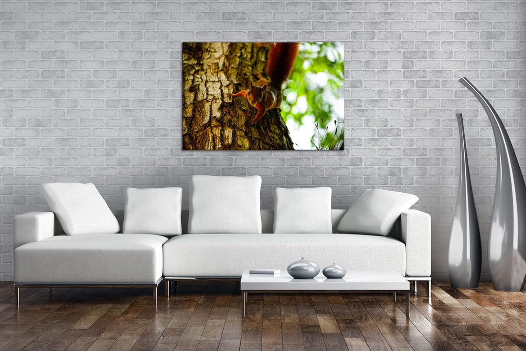 deyoli zutrauliches wildes Eichhörnchen Format: 80x60 als Leinwandbild, Motiv fertig gerahmt auf Ech