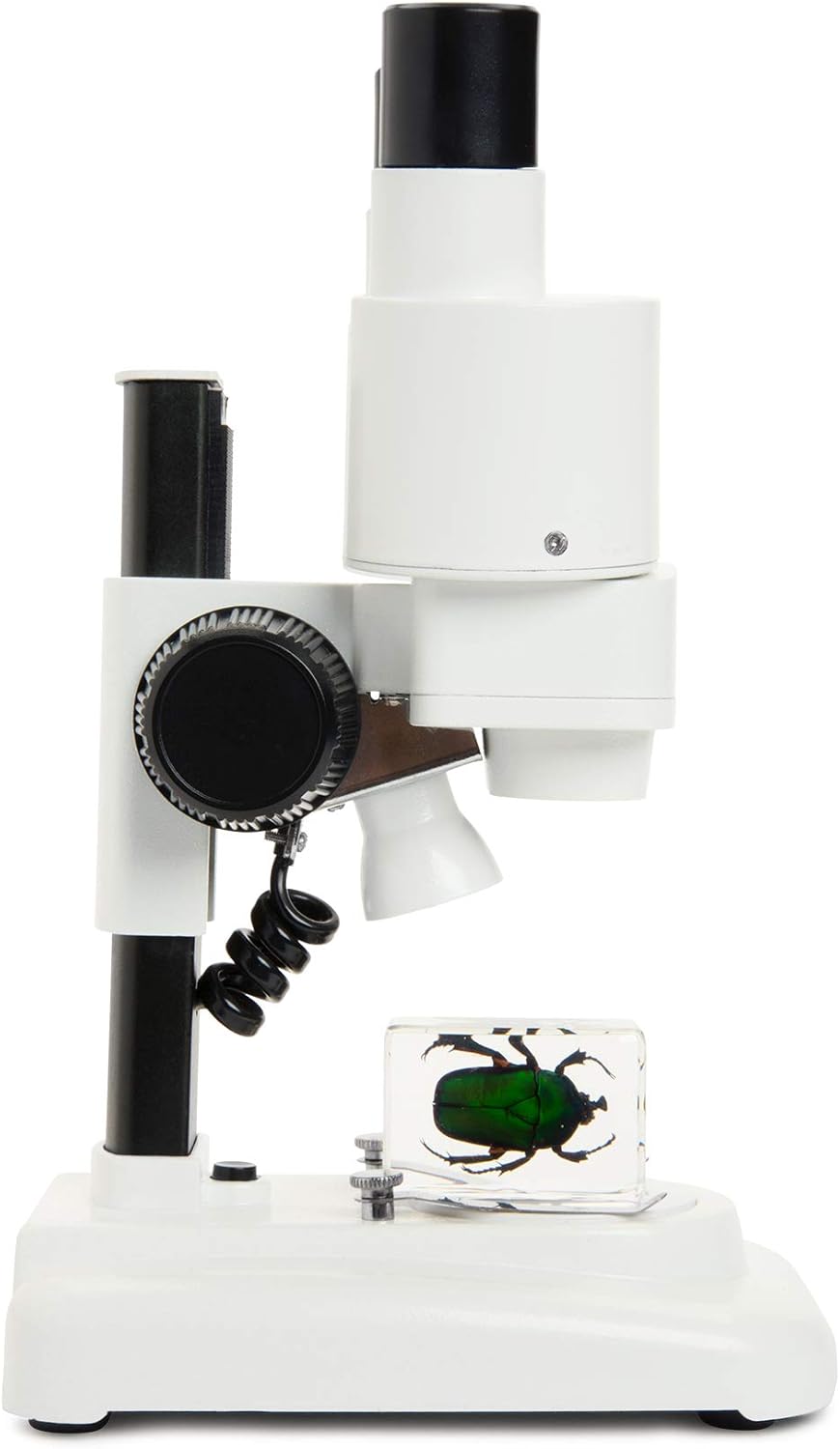 Celestron 44207 CL-S20 Stereo Microscope, 20x Magnification, White Labs CL-S20 Stereo, Labs CL-S20 S