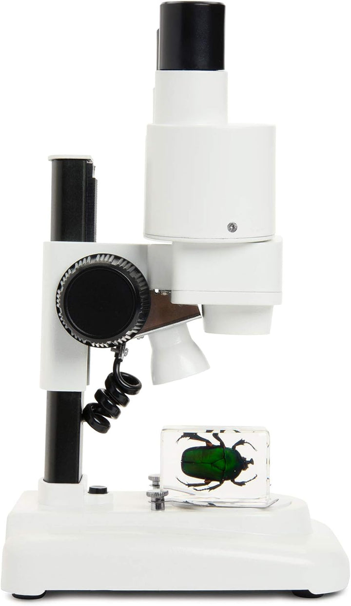 Celestron 44207 CL-S20 Stereo Microscope, 20x Magnification, White Labs CL-S20 Stereo, Labs CL-S20 S