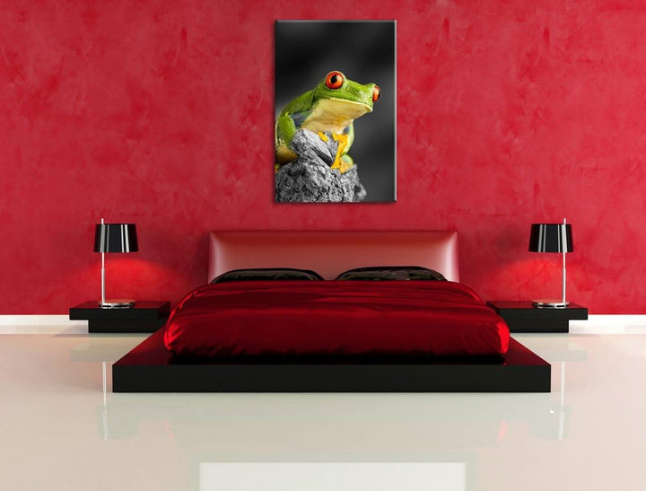 schöner Rotaugen Frosch schwarz/weiss Format: 100x70 auf Leinwand, XXL riesige Bilder fertig gerahmt