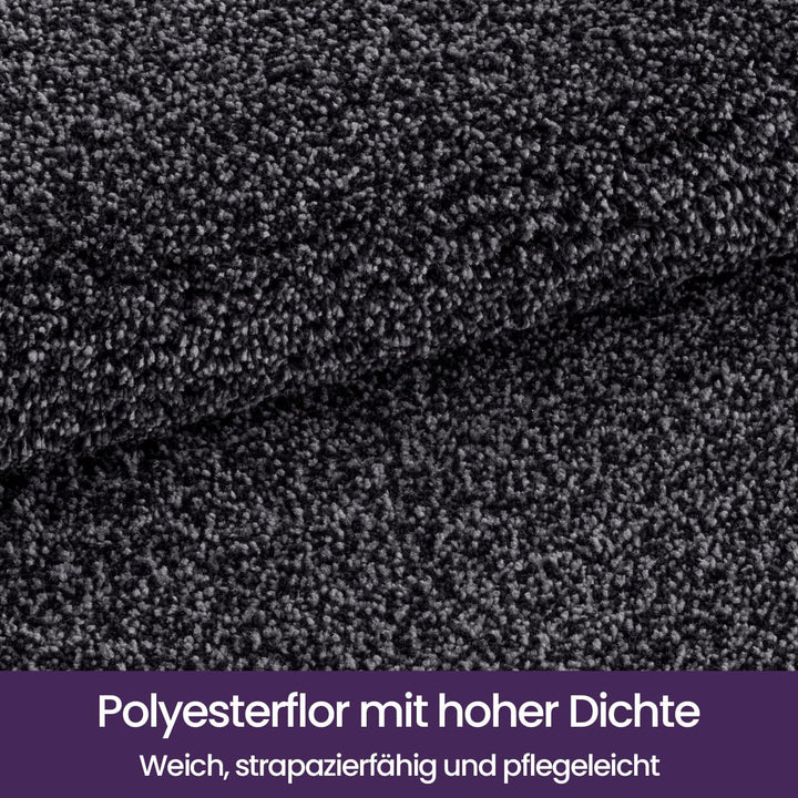 DEXI Schmutzfangmatte,rutschfeste Fussmatte für Innen und Aussen,Waschbar Eingangsteppich Saugstarke