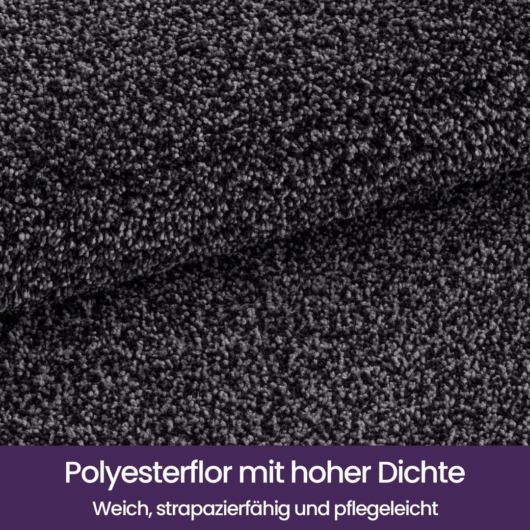 DEXI Schmutzfangmatte,rutschfeste Fussmatte für Innen und Aussen,Waschbar Eingangsteppich Saugstarke