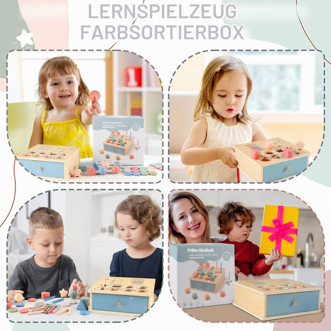 Montessori Spielzeug ab 1 2 3 Jahr, Farbe Form Sortierspiel ab 1 Jahr, Holzspielzeug Montessori ab 2