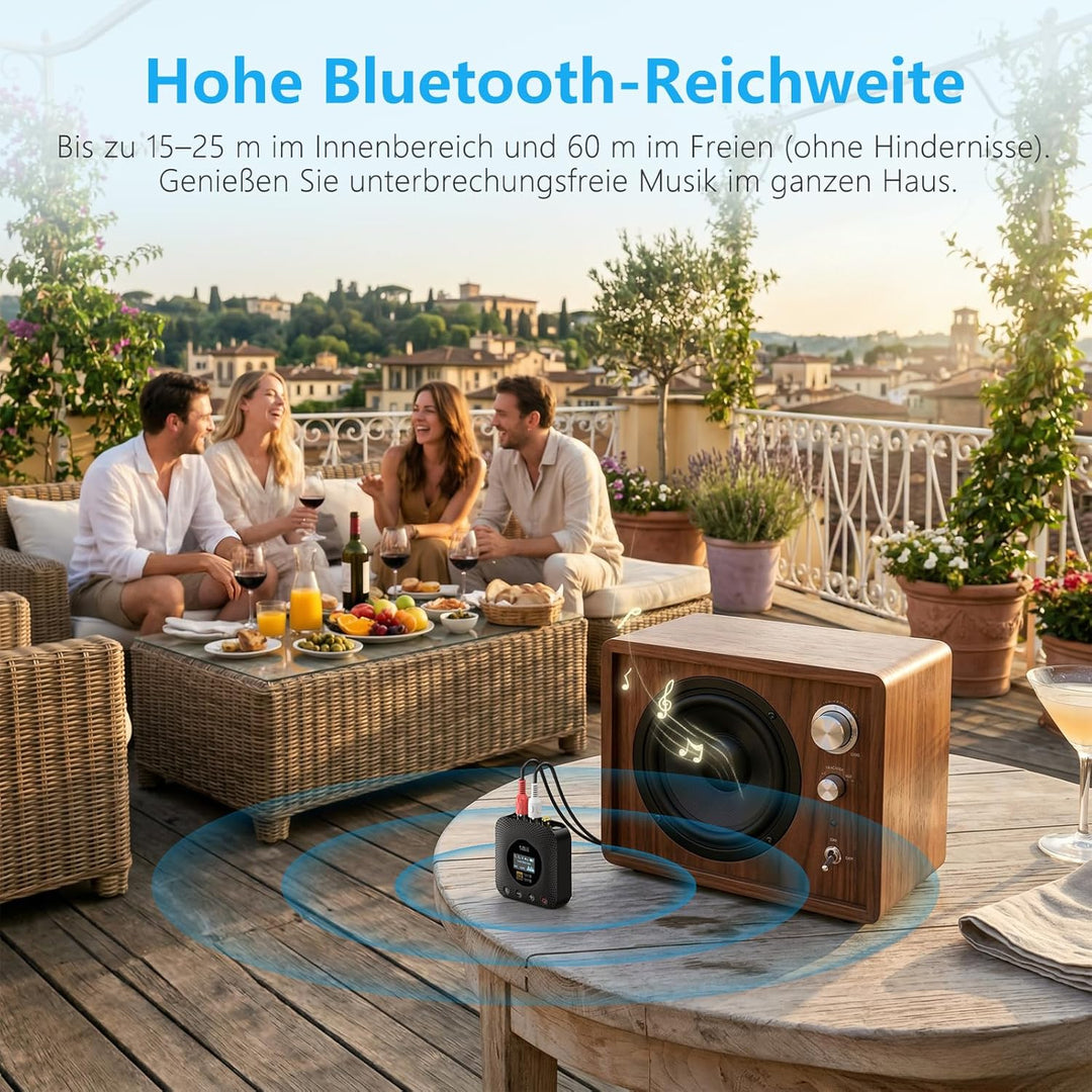 1Mii Bluetooth Receiver for Old Stereo System Schwarz, Schwarz