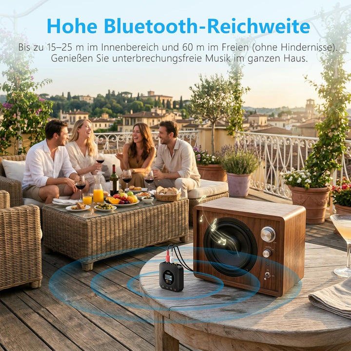1Mii Bluetooth Receiver for Old Stereo System Schwarz, Schwarz