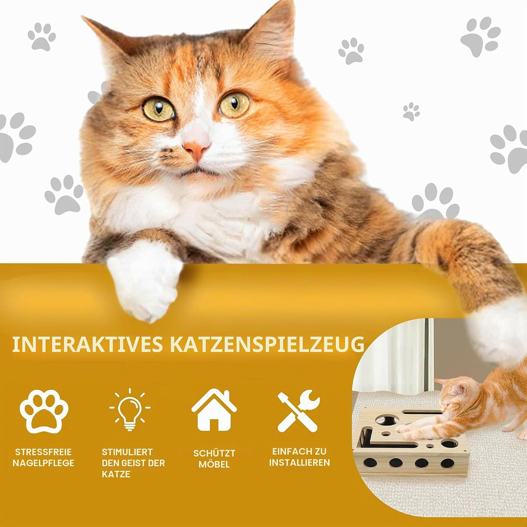 LZDMY Kratzbrett Katzen mit Glockenbällen, Fummelbrett Interaktives Katzenspielzeug Holz mit Sandpap