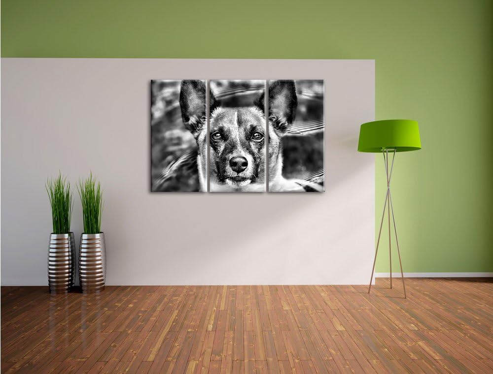 Pixxprint niedlicher Hund im Wasser als Leinwandbild/Grösse: 3 Teilig (120x80) cm/Wandbild/Kunstdruc