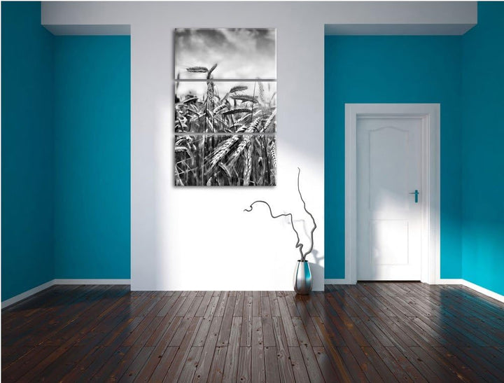 Pixxprint Getreide im Sonnenlicht als Leinwandbild/Grösse: 3 Teilig (120x80 cm) cm/Wandbild/Kunstdru
