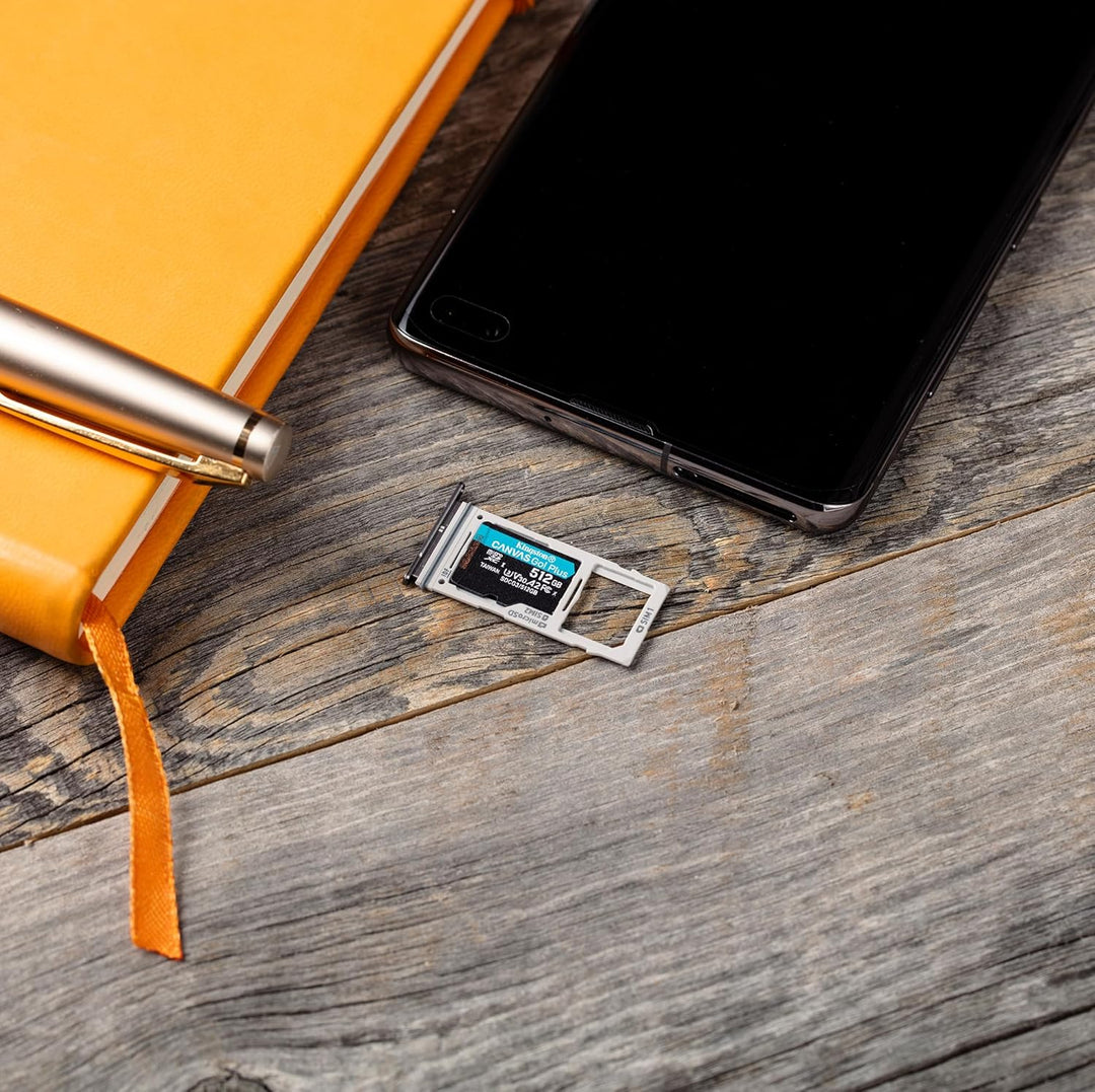 Kingston SDCG3/256GB microSD Speicherkarte ( 256GB microSDXC Canvas Go Plus 170R A2 U3 V30 mit SD Ad