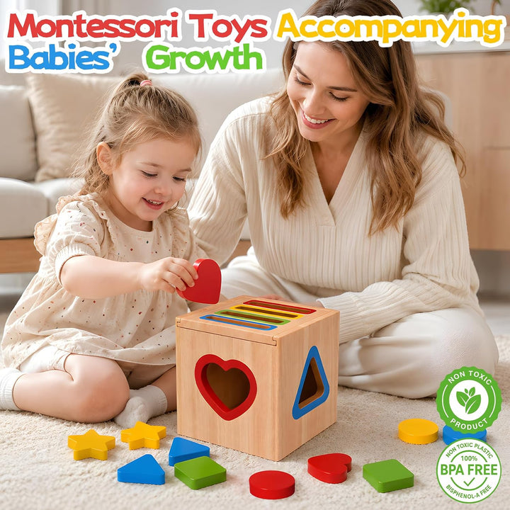 HaoVrisn Montessori Holzspielzeug ab 1 2 3 Jahr, Holzspielzeug für Jungen und Mädchen im Alter von 2