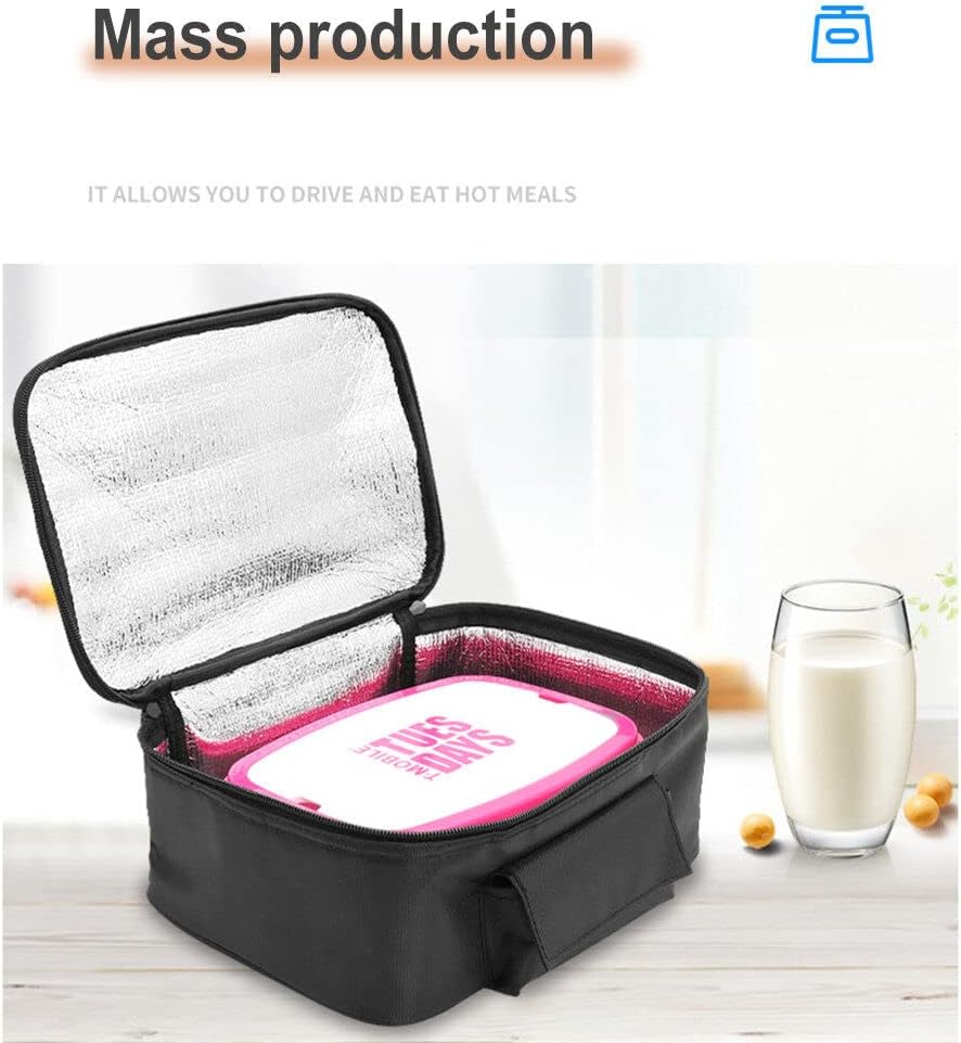 Kühltasche Auto 12V,Elektrische Thermo Kühltasche Picknicktasche Lunchtasche,Picknick Kühltasche Fal