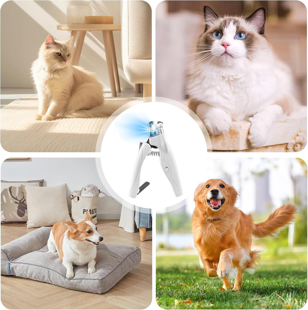 GOMETY Profi LED Hunde & Katzen Nagelknipser: Ergonomischer Griff, Sicherheitsverriegelung, für Mitt