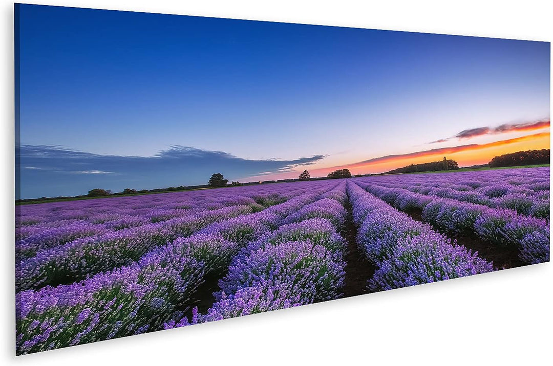 islandburner Bild auf Leinwand Sonnenaufgang Und Dramatische Wolken Über Lavendelfeld Bilder Wandbil