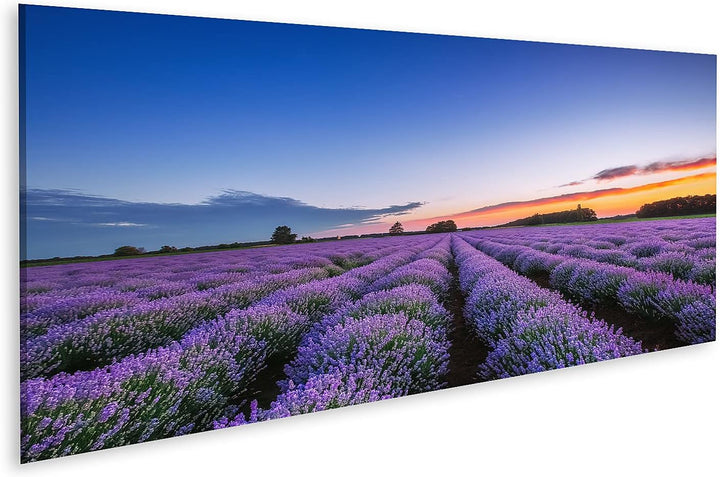 islandburner Bild auf Leinwand Sonnenaufgang Und Dramatische Wolken Über Lavendelfeld Bilder Wandbil