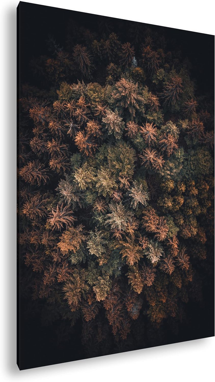deyoli sagenhafter Wald von oben Format: 120x80 cm als Leinwandbild, Motiv fertig gerahmt auf Echtho