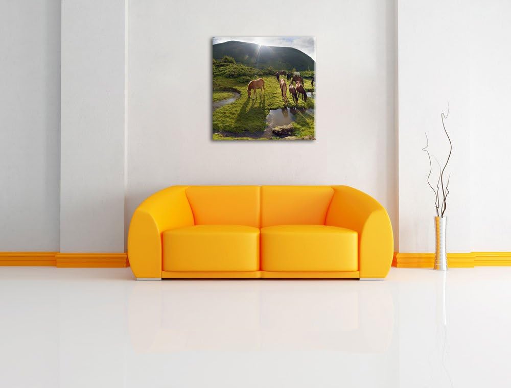 Pferde auf Wiese, Format: 70x70 auf Leinwand, XXL riesige Bilder fertig gerahmt mit Keilrahmen, Kuns
