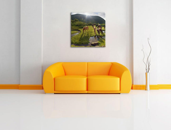 Pferde auf Wiese, Format: 70x70 auf Leinwand, XXL riesige Bilder fertig gerahmt mit Keilrahmen, Kuns