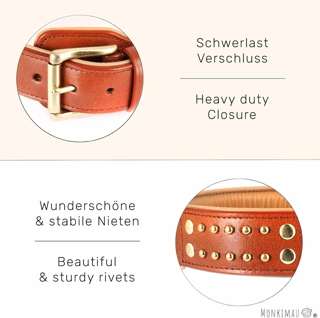 Monkimau Halsband für Hunde aus echt Leder mit Nieten gepolstert verstellbar L 41-50 cm M-L: 35mm x