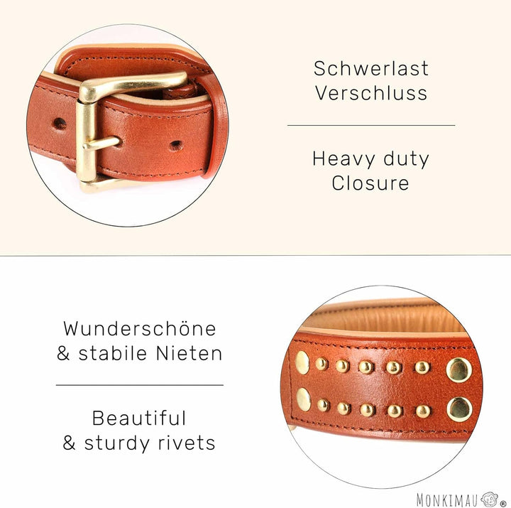 Monkimau Halsband für Hunde aus echt Leder mit Nieten gepolstert verstellbar L 41-50 cm M-L: 35mm x