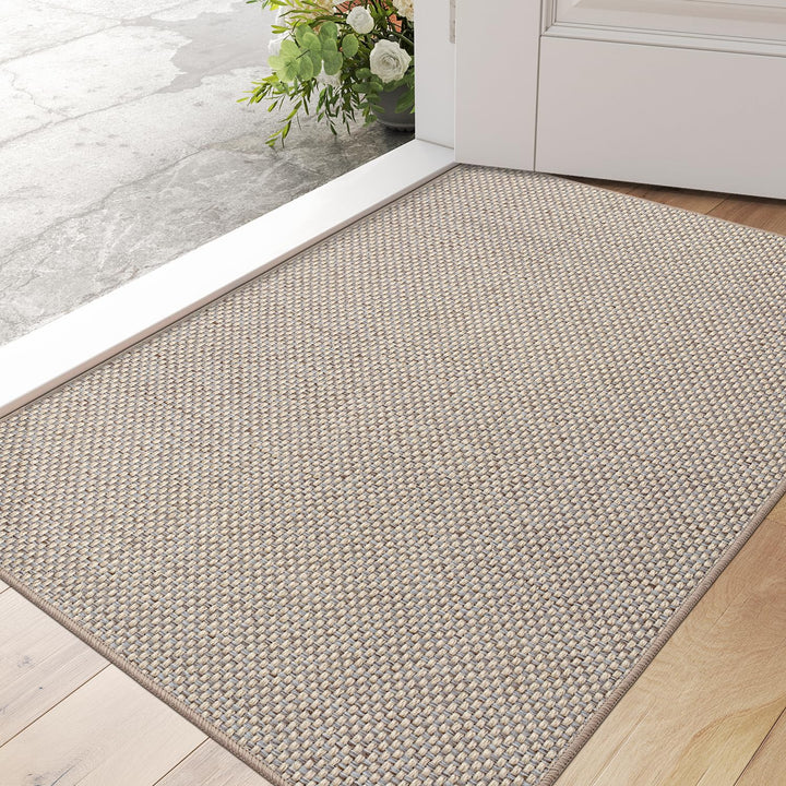 DEXI Schmutzfangmatte Innen 60 x 90 cm, rutschfest Fussmatte waschbar, absorbierend Fussmatte, Dünne