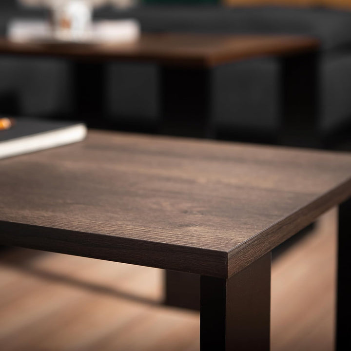 LEHMANN Wohnzimmertisch Holz, Couchtisch 2er Set in 2 Grössen, Beistelltisch Holz, Wohnzimmer Tisch