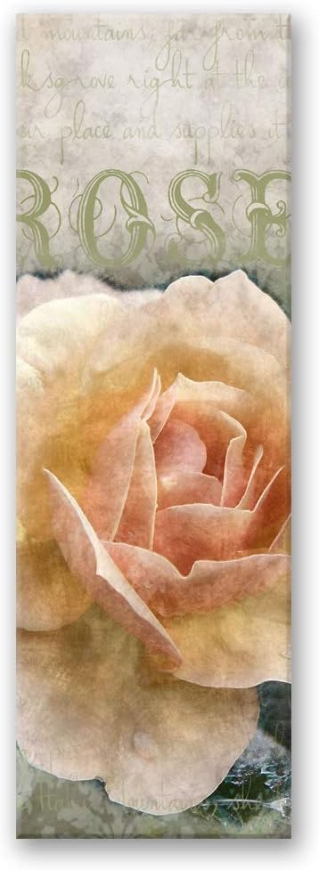 Feeby Wandbilder Rose Blumen XXL 40x100 cm 1Teilig Modern Bilder Bild auf Leinwand Leinwandbilder Wa