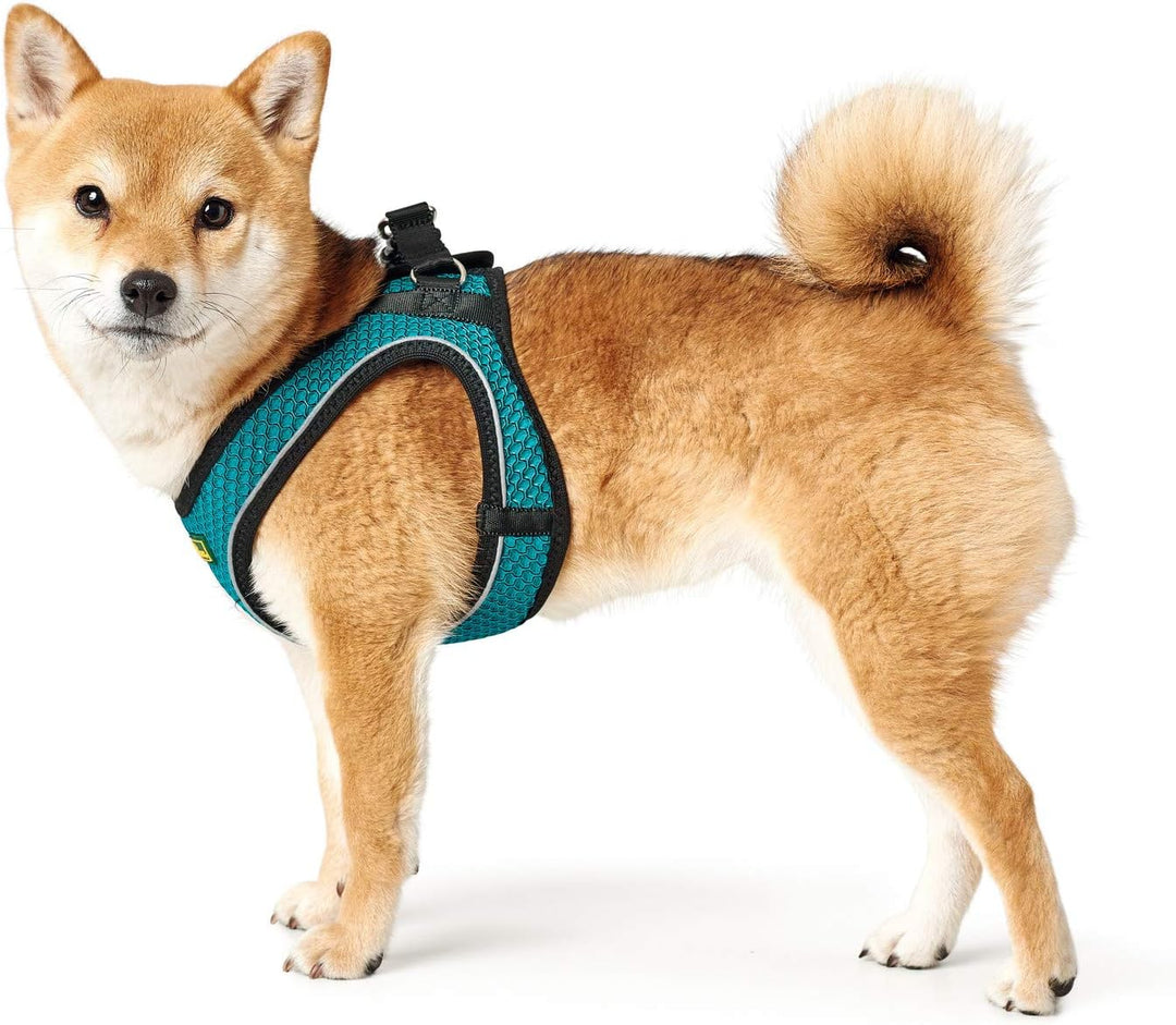 HUNTER HILO COMFORT Geschirr für kleine Hunde mit Netzmaterial und reflektierenden Elementen, türkis
