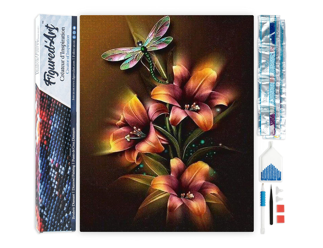 Figured'Art Diamond Painting Erwachsene 40x50cm Ganze Leinwand gerollt Lilien und Libelle 5D Bilder