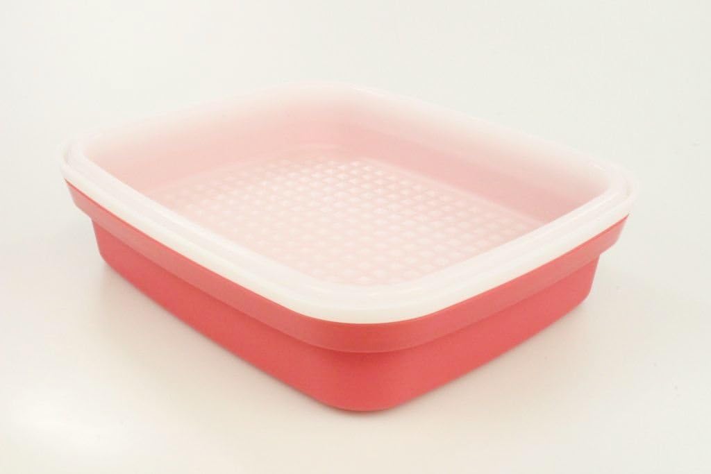 Tupperware Kühlschrank 1,9 L erdbeerrot Grillprofi Grillen Marinieren Behälter 34630