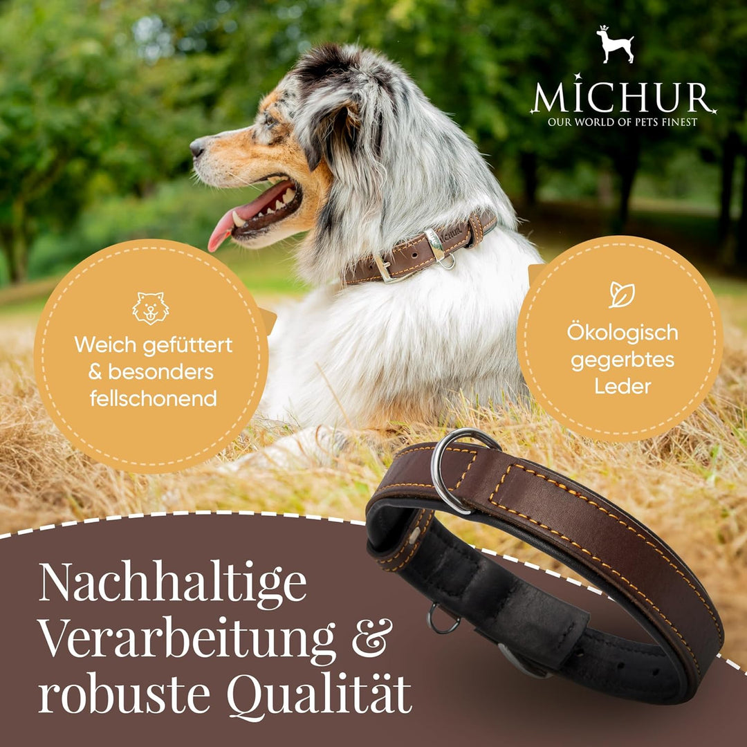 Michur Minimo Hundehalsband Leder, Lederhalsband Hund, Halsband, Braun, Leder, in verschiedenen Grös