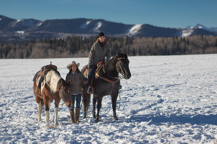 Heartland – Paradies für Pferde, Die komplette 9. Staffel [6 DVDs], DVD