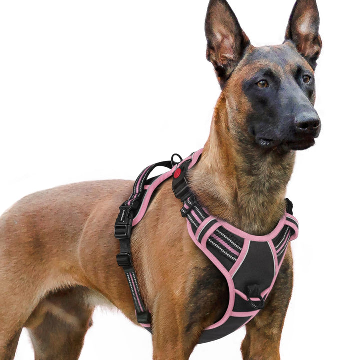rabbitgoo Hundegeschirr Grosse Hunde Leichtes Anlegen, XL, Schwarz &amp; Rosa | Anti Zug, Ohne Kopfdurch