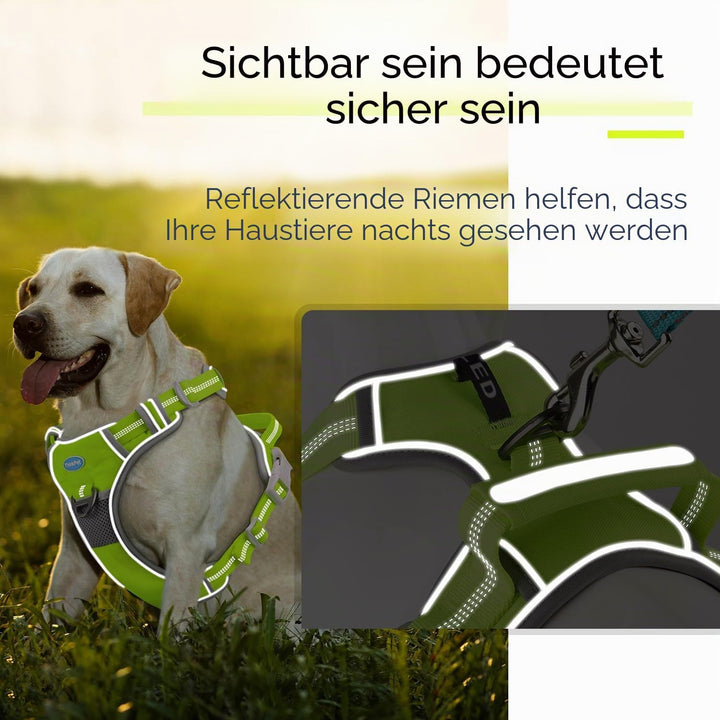 ThinkPet No-Pull Hundegeschirr, Atmungsaktiv Brustgeschirr für Kleine Mittlere Grosse Hunde, Einstel