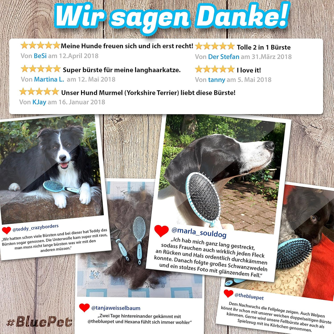 BluePet "DoppelDecker" 2in1 Hundebürste für Langhaar & Kurzhaar - Auch für Welpen & Katzen - Glätten