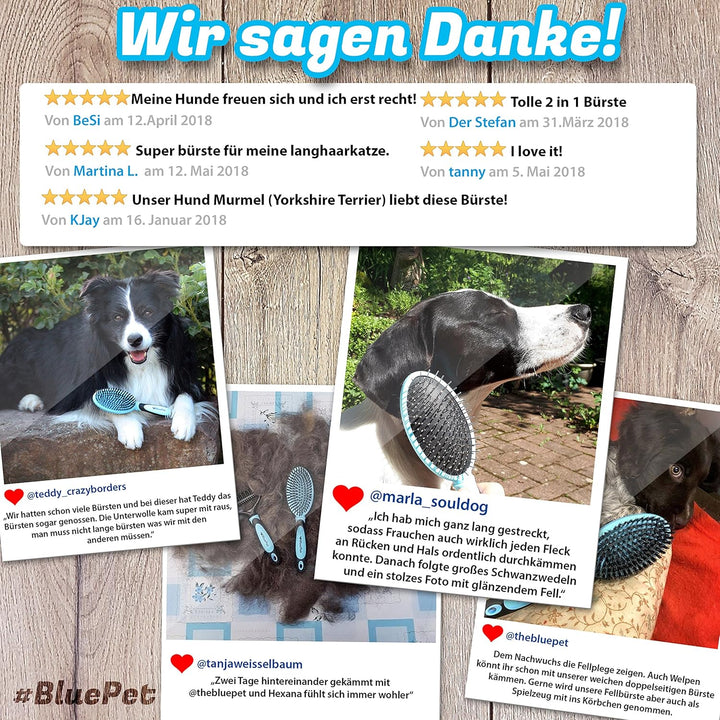 BluePet "DoppelDecker" 2in1 Hundebürste für Langhaar & Kurzhaar - Auch für Welpen & Katzen - Glätten