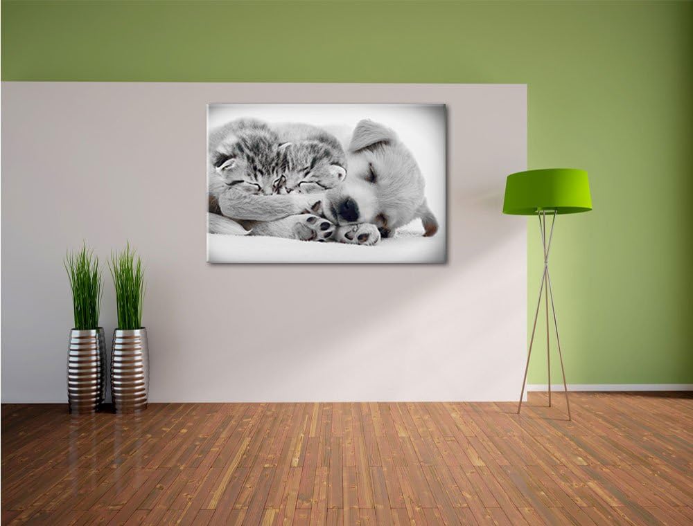 Pixxprint Hundewelpe mit kleinen Kätzchen als Leinwandbild/Grösse: 100x70 / Wandbild/Kunstdruck/fert