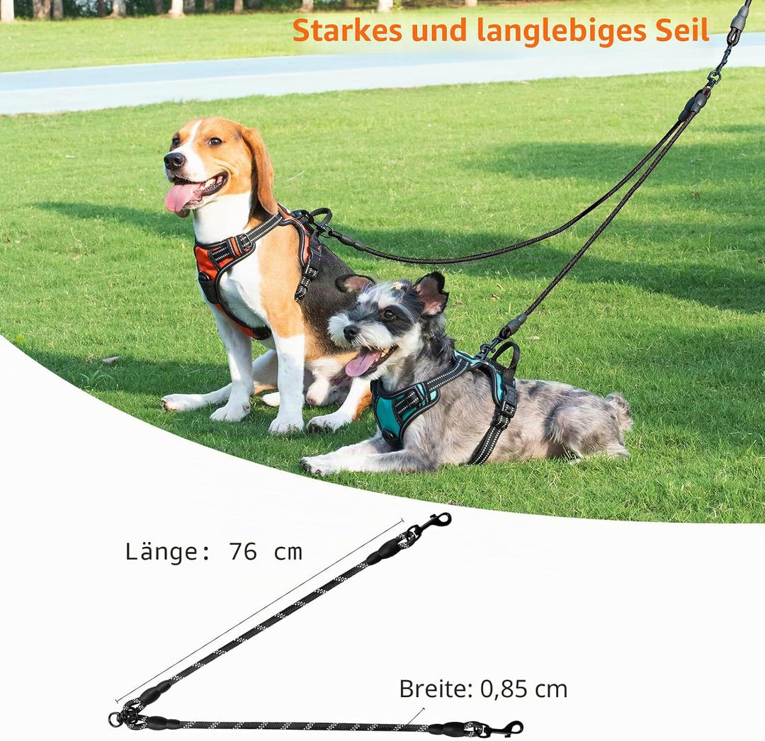 Taglory Doppelte Leinen/Hundeleine Doppelleine für 2 Hunde/Keine Verwicklung Reflektierend Kletterse