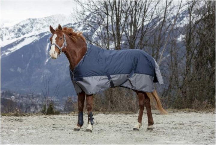 Equit'M Unisex Turnout Teppich Tyrex 600 D, 130 cm 4 ft/9-Inch/145 cm marineblau/grau, 4 ft/9-Inch/1