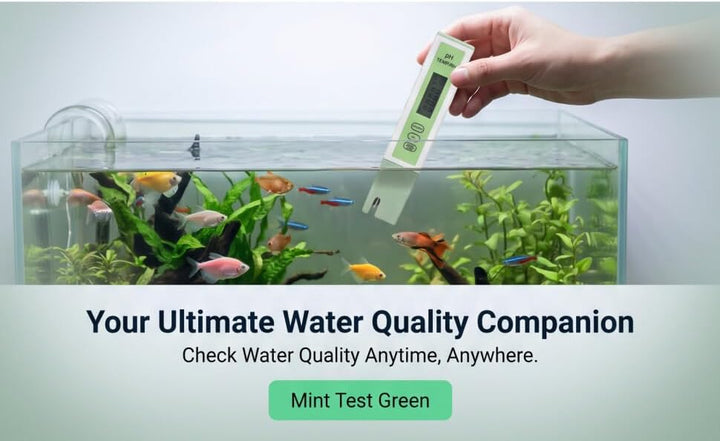 Haofy Digitales PH-Messgerät, 2-in-1-Wassertester PH-Tester Temperatur-Feuchtigkeitsüberwachungsstif