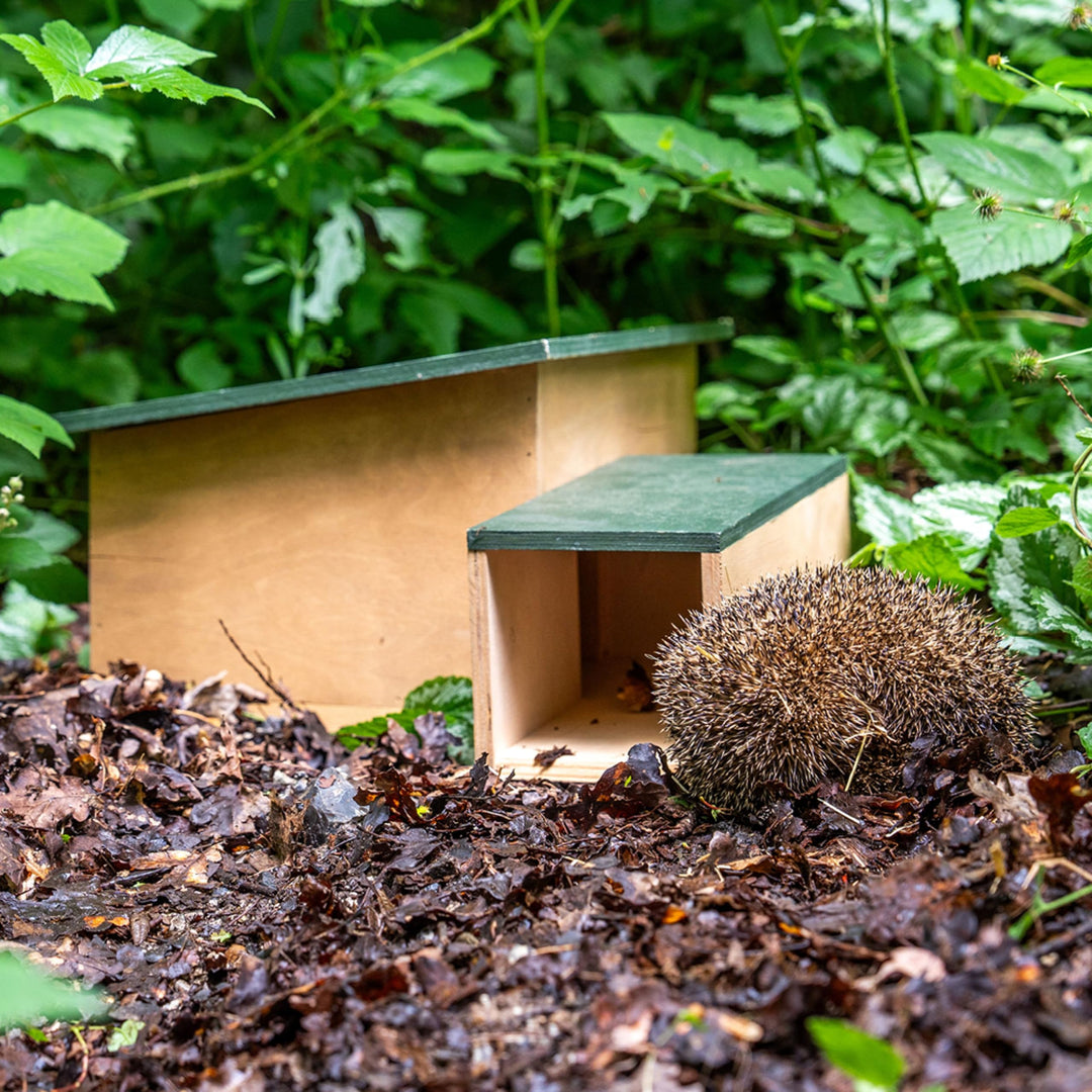CJ Wildlife Igelhaus Winterfest – Igelfutterhaus aus wetterfestem Holz – 90-Grad-Eingang – einfaches