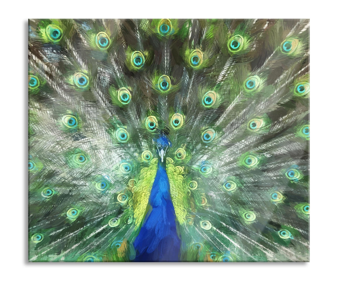 Pfau mit seinem Gefieder Herdabdeckplatte & Spritzschutz aus Echtglas | Für Herd-Kochfelder | 60x52