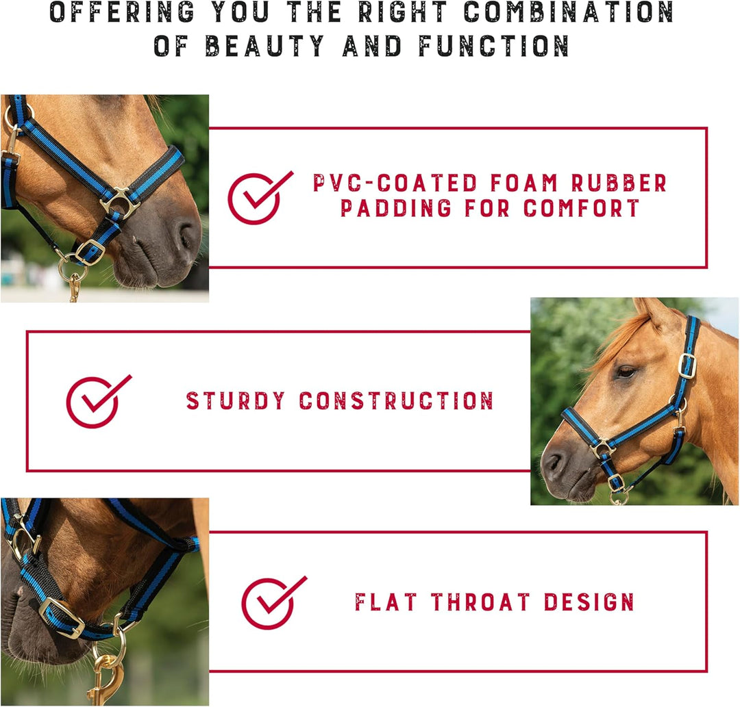 Weaver Leather Basic verstellbares Halfter Schwarz Large Horse, Schwarz Large Horse