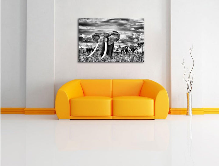 Pixxprint Stolzer Elefant in Savanne als Leinwandbild/Grösse: 100x70 / Wandbild/Kunstdruck/fertig be