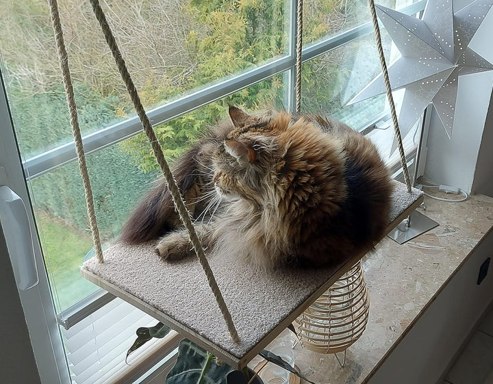 CapriCorner Katzen Fensterliege, kein Herunterfallen Dank Sisalseile, Holz statt Plastik - Neuer Fen