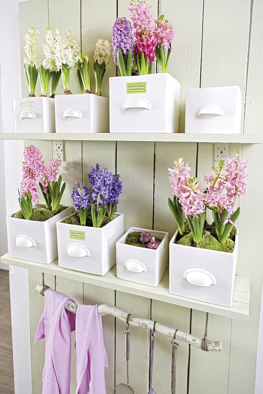 Blumentopf Würfel Sandra's Secret Garden weiss eckig 17 cm Ø 18,0 x 18,0 cm von Sandra Rich