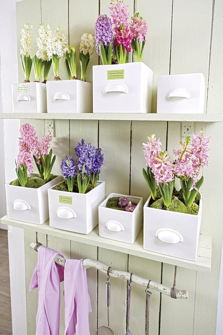 Blumentopf Würfel Sandra's Secret Garden weiss eckig 17 cm Ø 18,0 x 18,0 cm von Sandra Rich