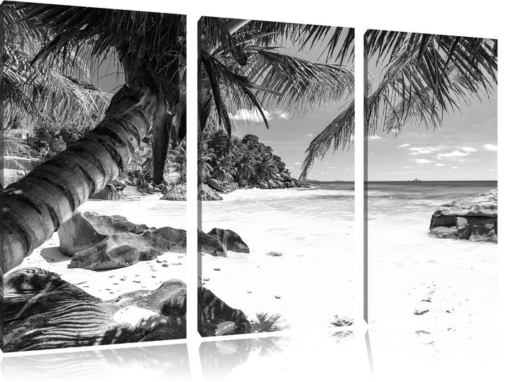 Pixxprint Palmenstrand Seychellen Kunst B&W / 3-Teilig/Gesamtmass 120cm Leinwandbild bespannt auf Ho