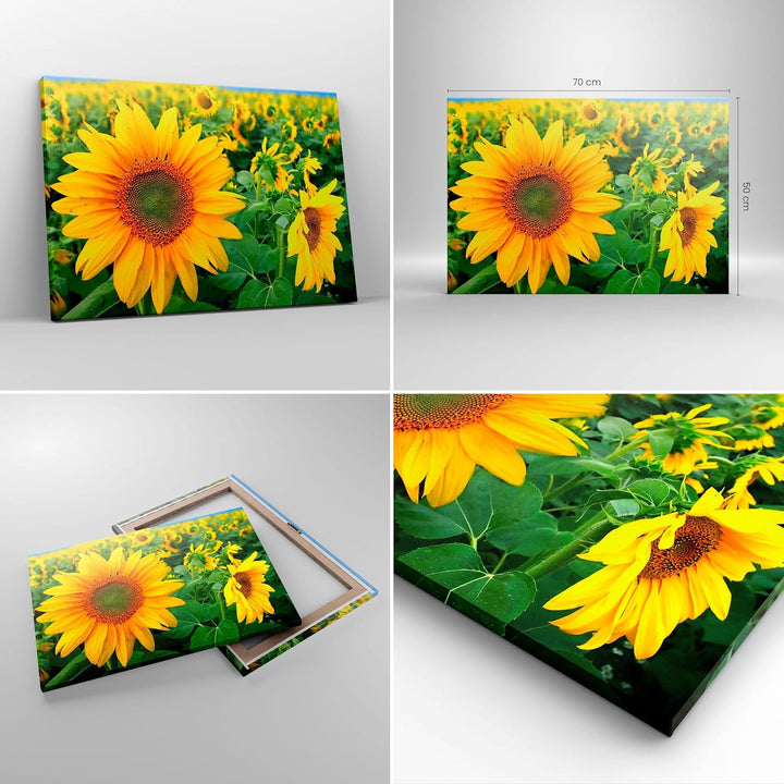 Bilder auf Leinwand Wolken Sonnenblumen Plantagen Leinwandbild 70x50cm Wandbilder Dekoration Wohnzim