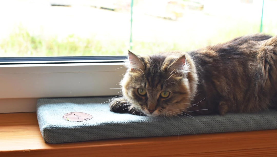 Prime Katzen Fensterliege Für Katzen, Fensterbank mit Einer Rutschfesten Rückseite, Katzenbett Fenst